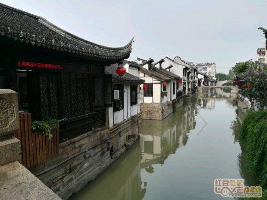 模拟山羊